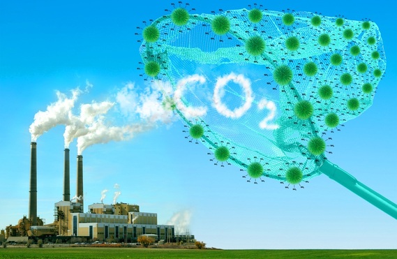 Karbondioksit Salınımının İklim